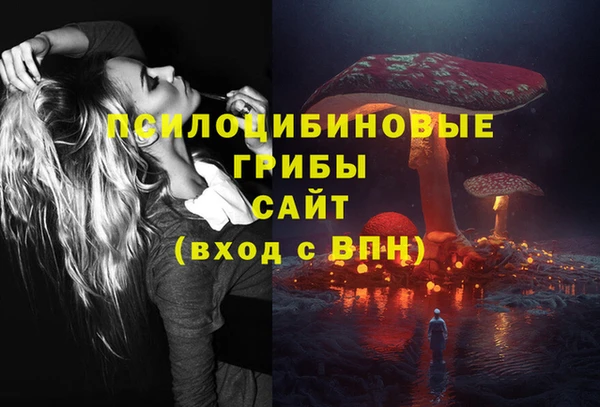 spice Алексеевка