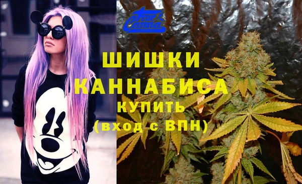 spice Алексеевка